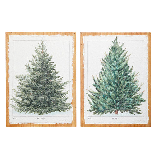 Fir Tree Textured Paper On Wood Wall Art