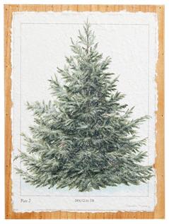 Fir Tree Textured Paper On Wood Wall Art