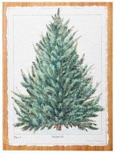 Fir Tree Textured Paper On Wood Wall Art