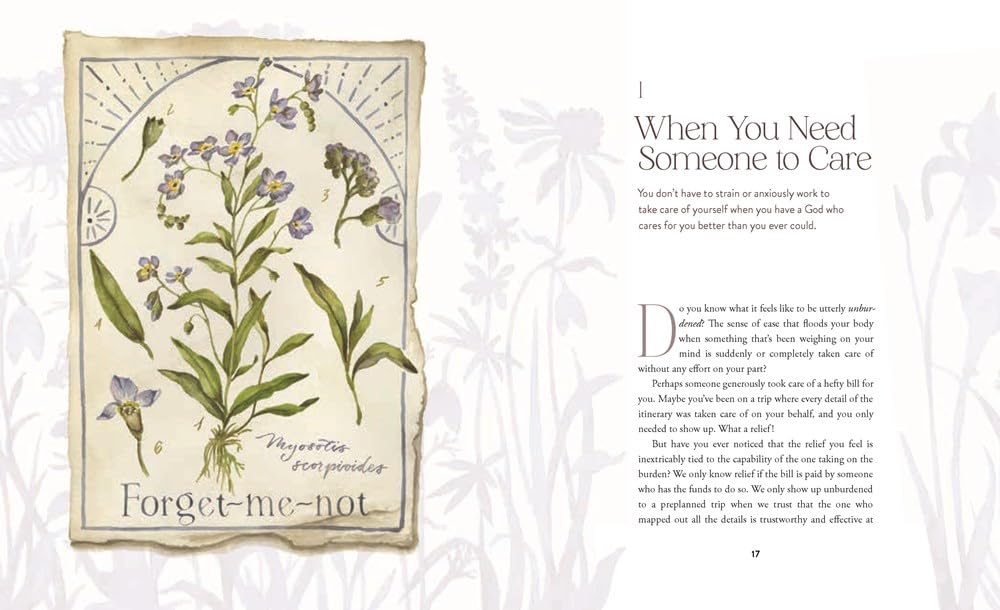 The Way of the Wildflower: Gospel Meditations to Unburden Your Anxious Soul