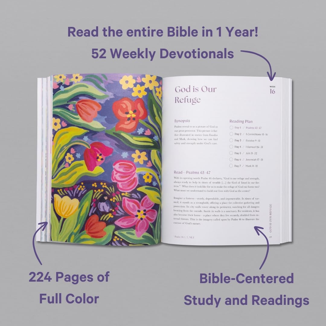 A Beautiful Year in the Bible: The 52-Week Bible Study for Women