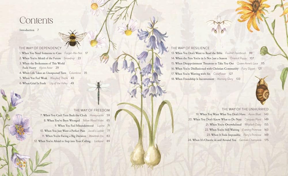 The Way of the Wildflower: Gospel Meditations to Unburden Your Anxious Soul