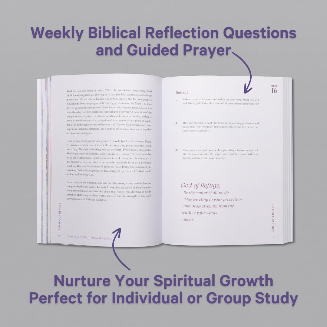 A Beautiful Year in the Bible: The 52-Week Bible Study for Women