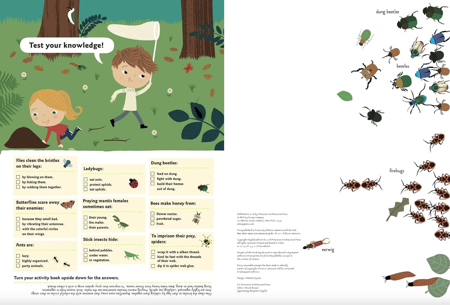 Garden Insects & Bugs (My Nature Sticker Activity Book Series)