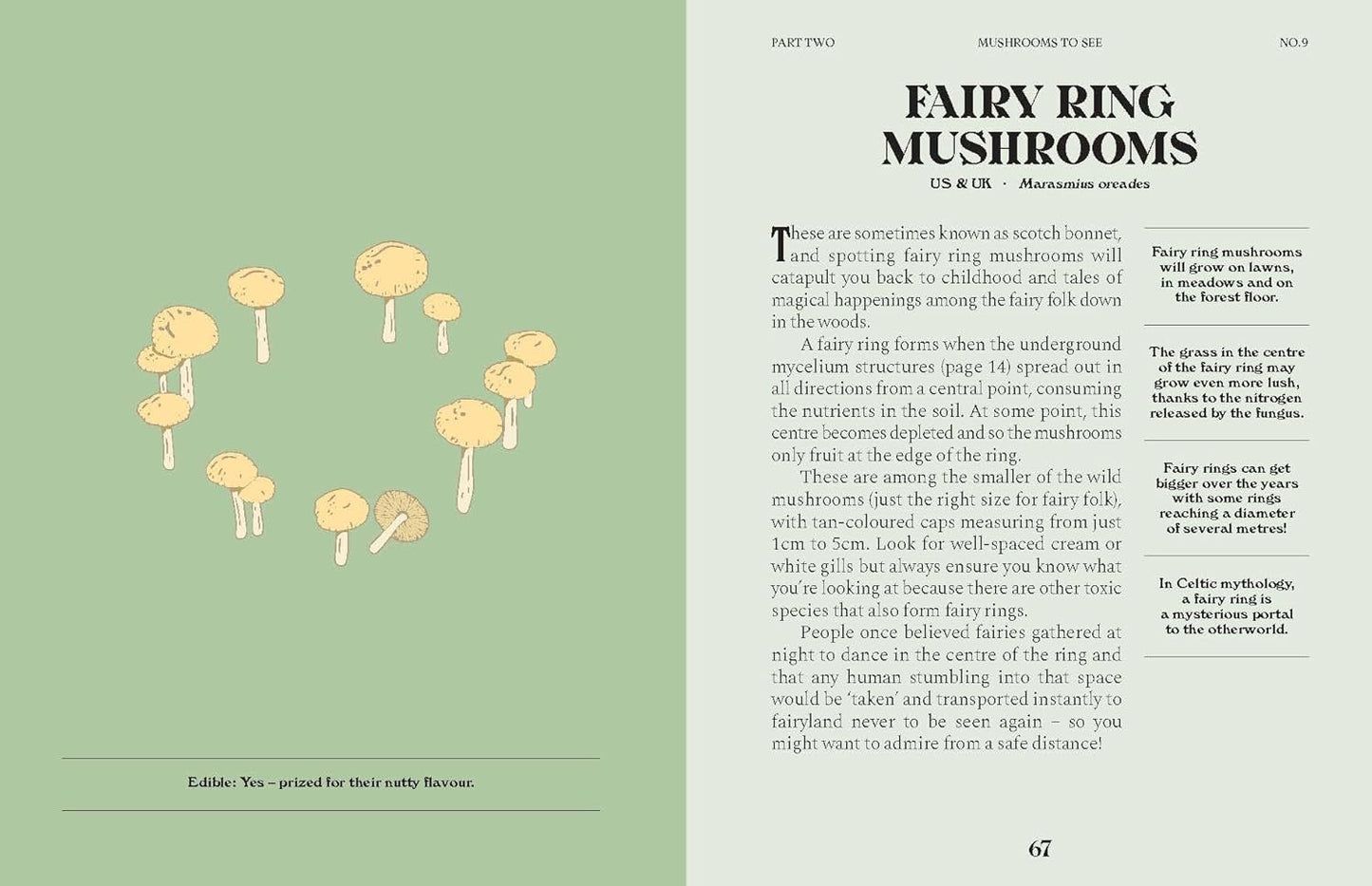 Mushrooms: A Guide for the Curious