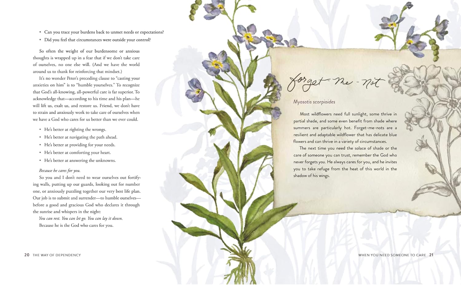 The Way of the Wildflower: Gospel Meditations to Unburden Your Anxious Soul