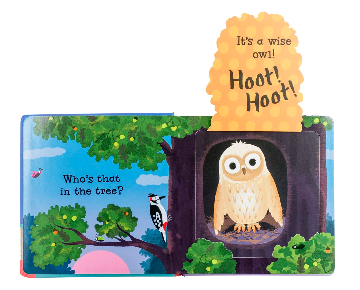 Can You Say It, Too? Hoot! Hoot!