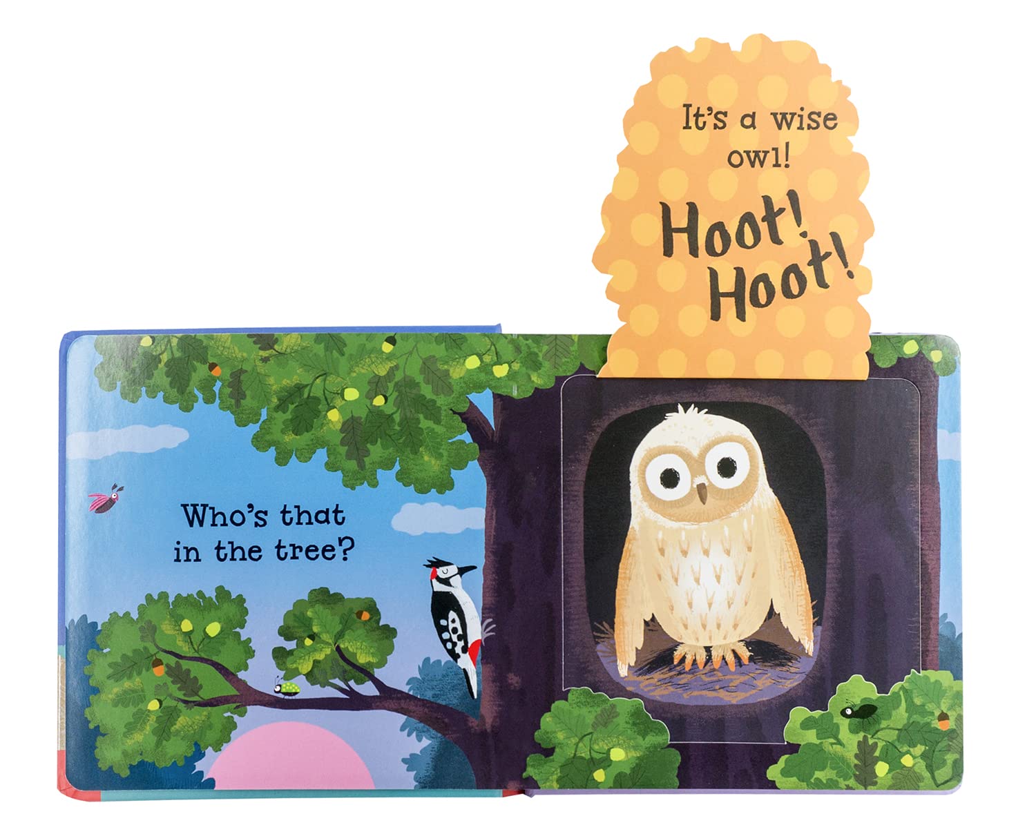 Can You Say It, Too? Hoot! Hoot!