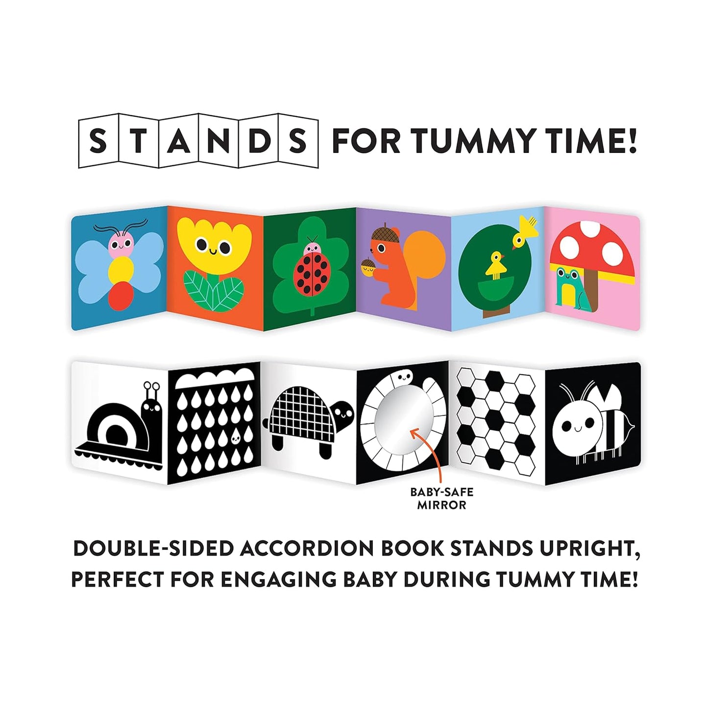 My Tummy Sturdy Fold Out Board Book