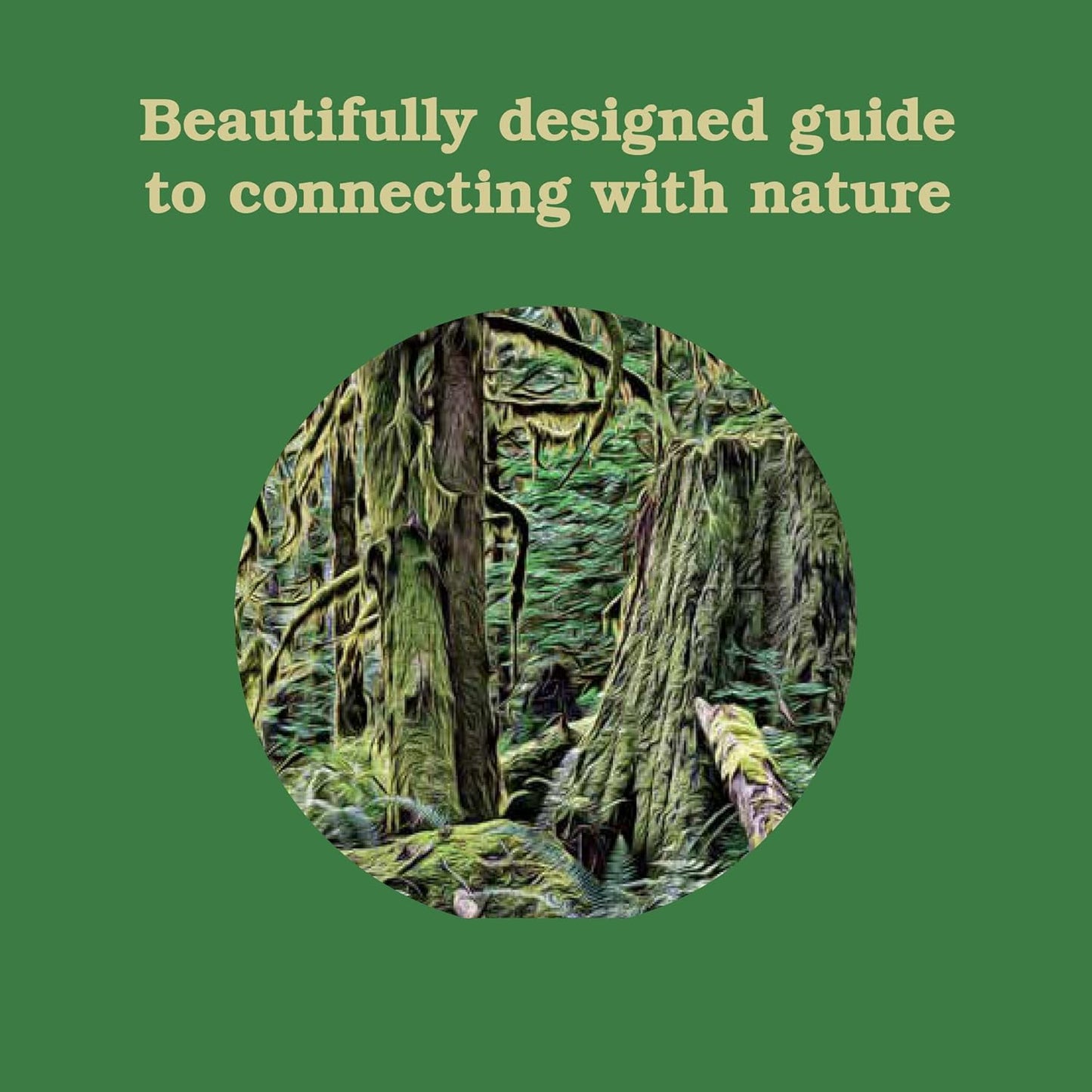Forest School for Grown-Ups