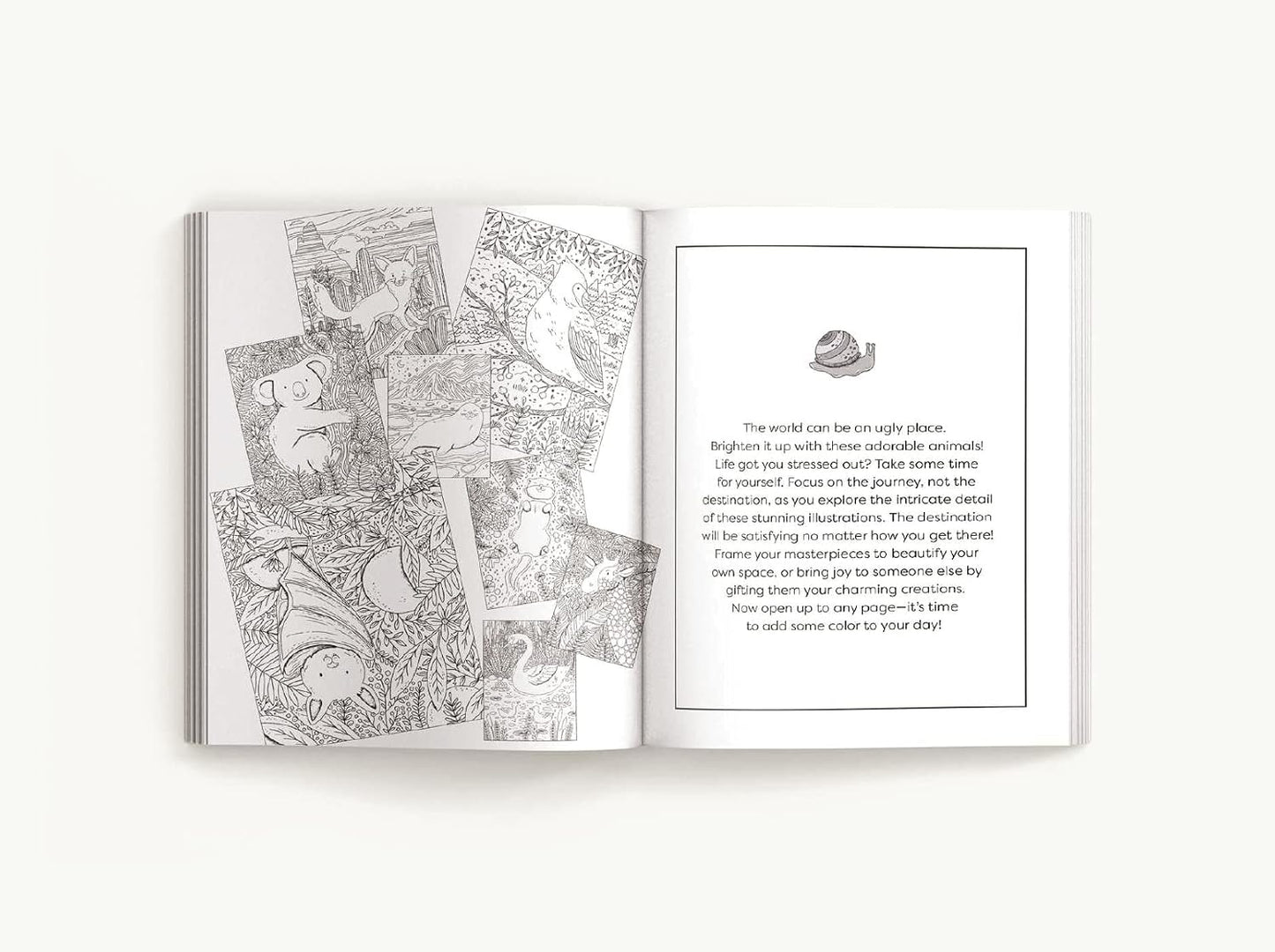 Color Me Critters: An Adorable Adult Coloring Book
