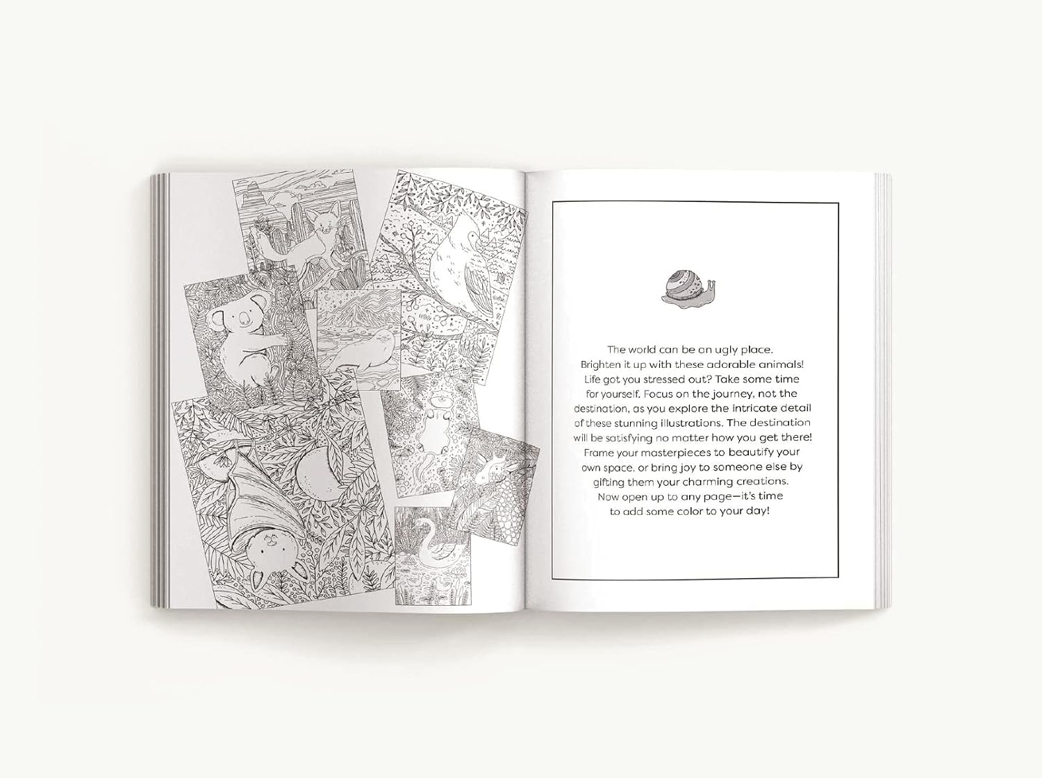 Color Me Critters: An Adorable Adult Coloring Book