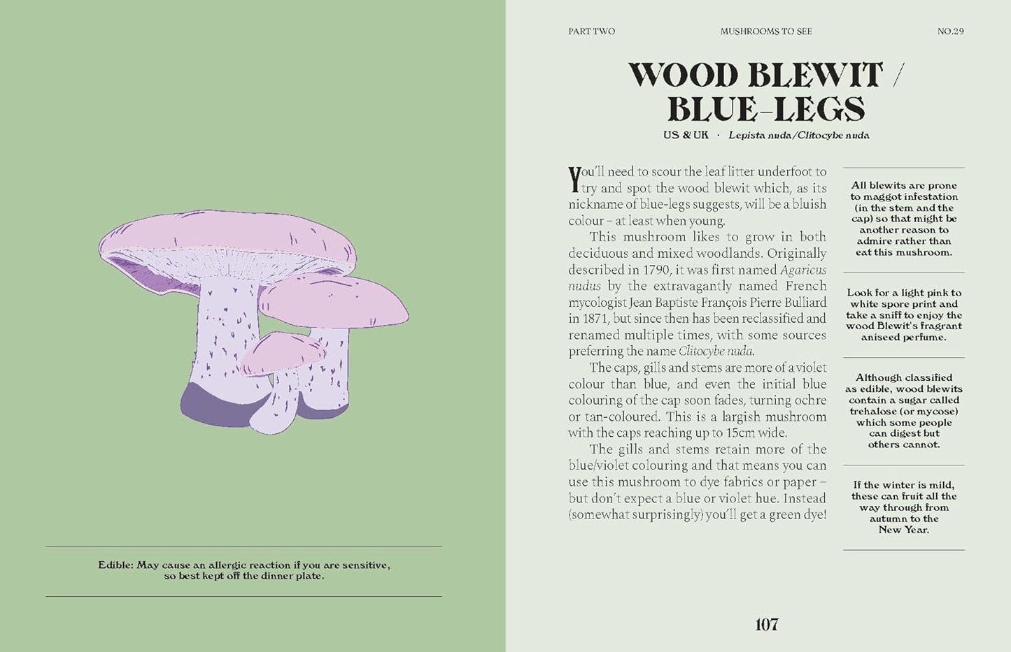 Mushrooms: A Guide for the Curious