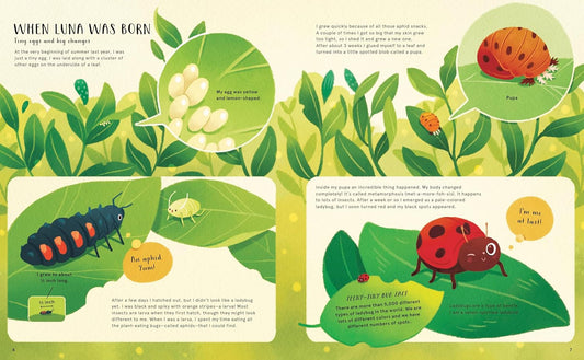 The Secret Life of Bugs, Bees, & Trees