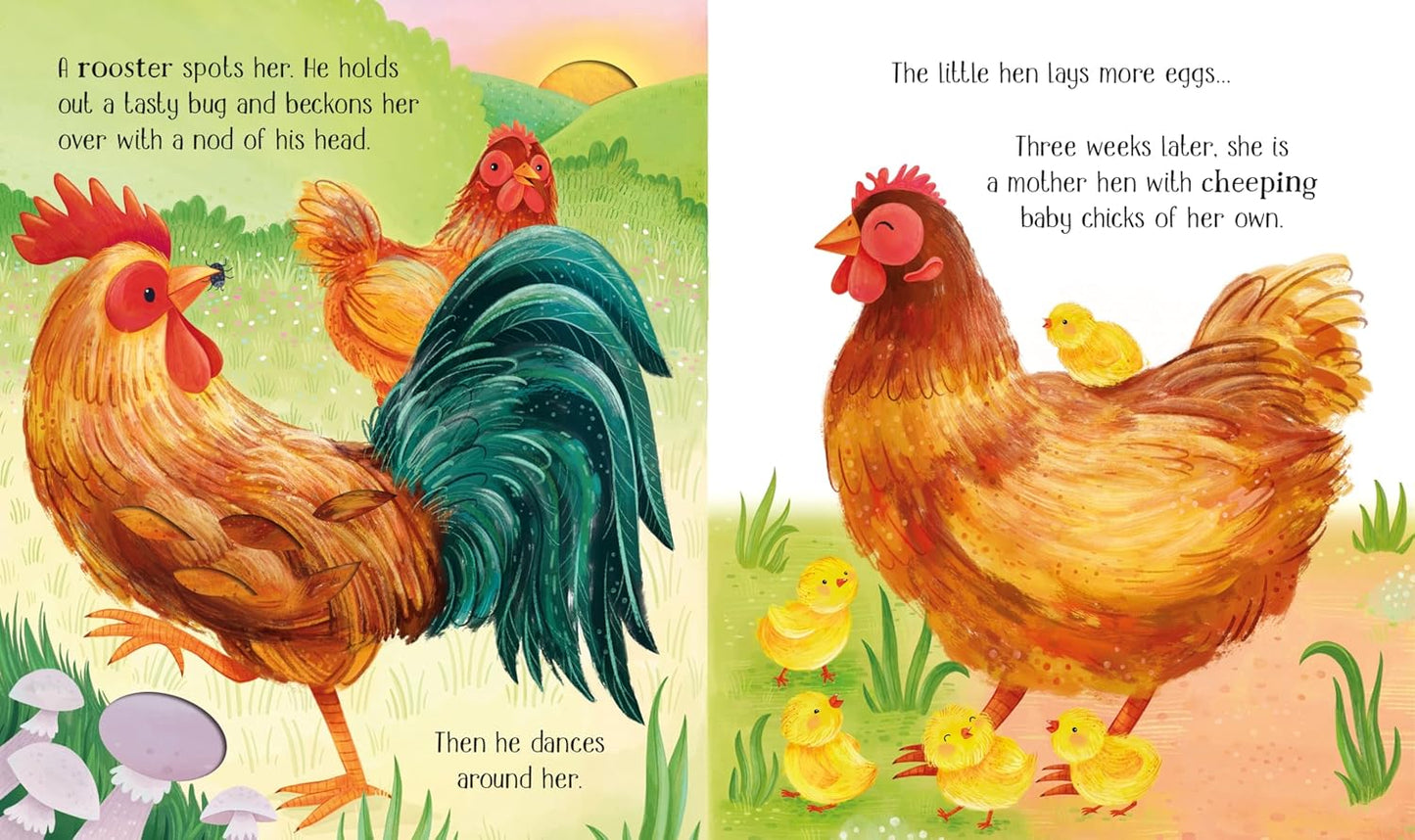 One Little Chick Board Book