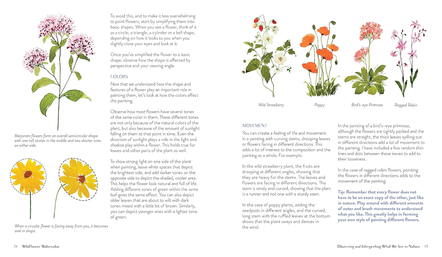 Wildflower Watercolor: The Beginner’s Guide to Painting Beautiful Florals