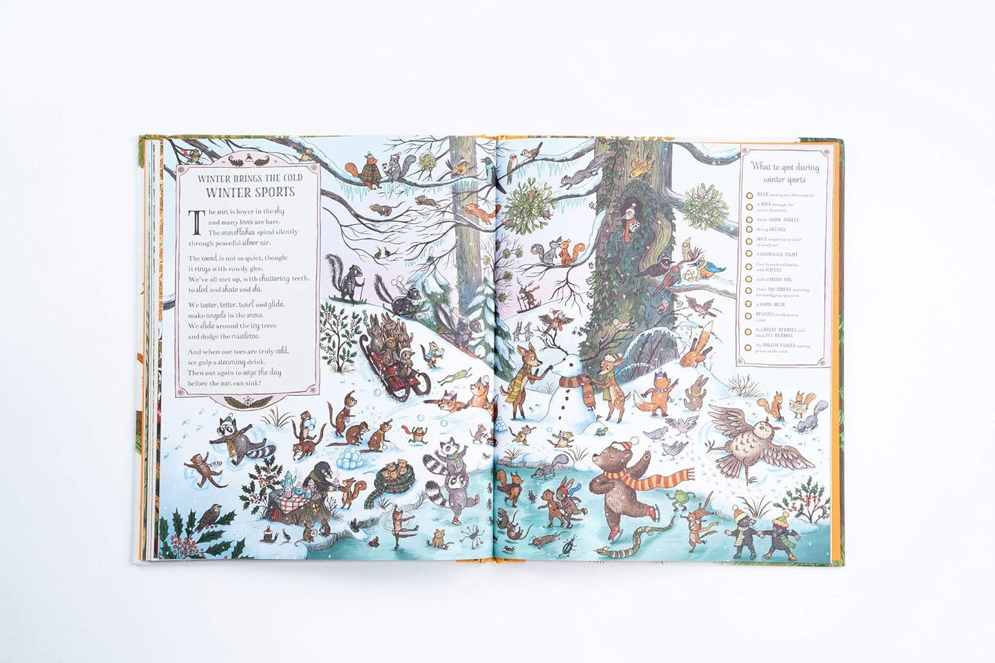 If You Go Down to the Woods Today: A Search and Find Adventure