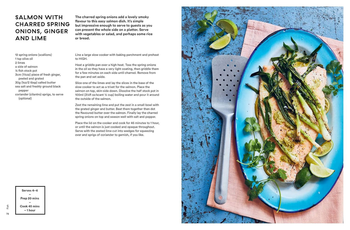 Foolproof Slow Cooker: 60 Modern Recipes That Let The Cooker Do The Work