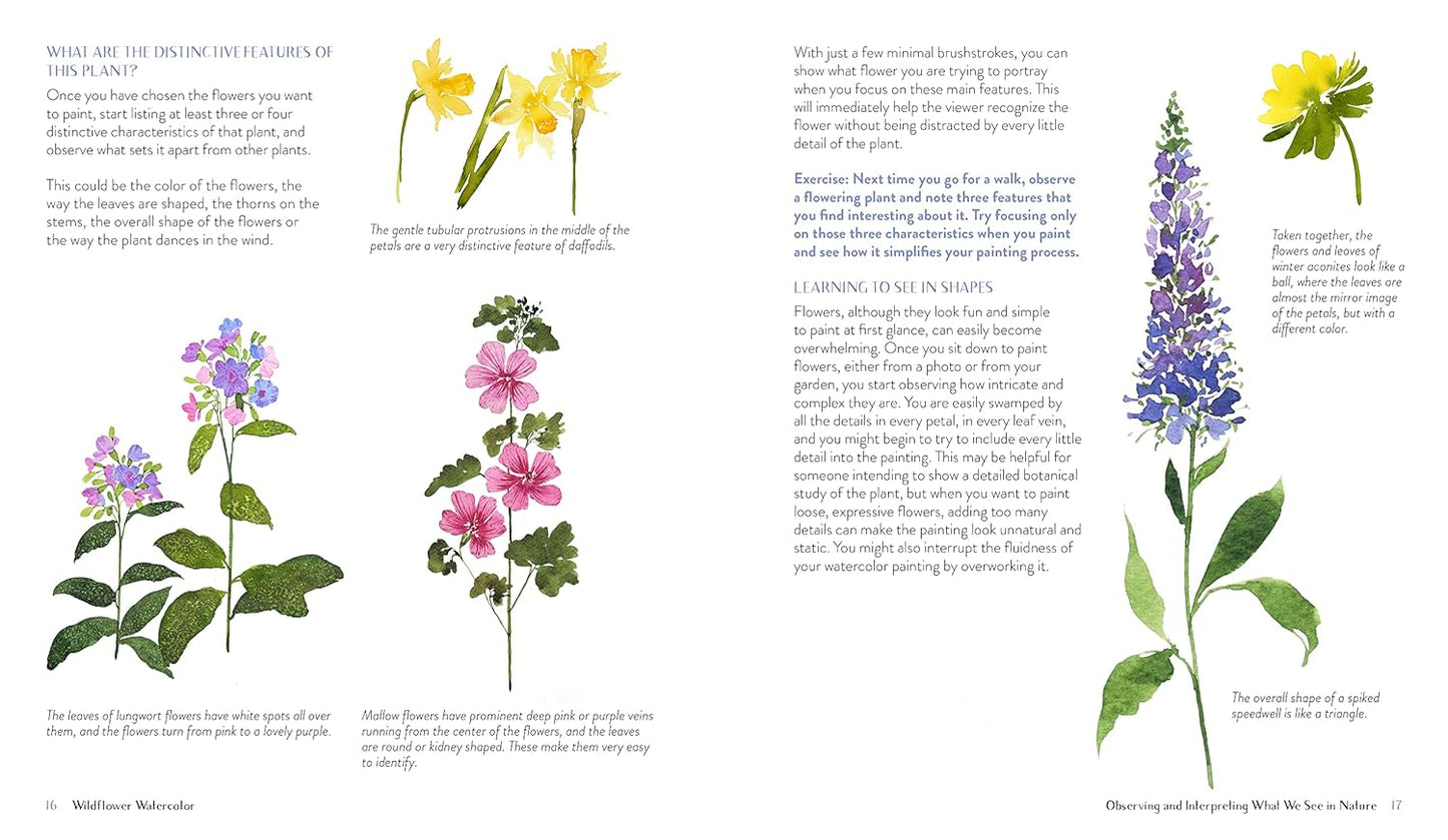 Wildflower Watercolor: The Beginner’s Guide to Painting Beautiful Florals