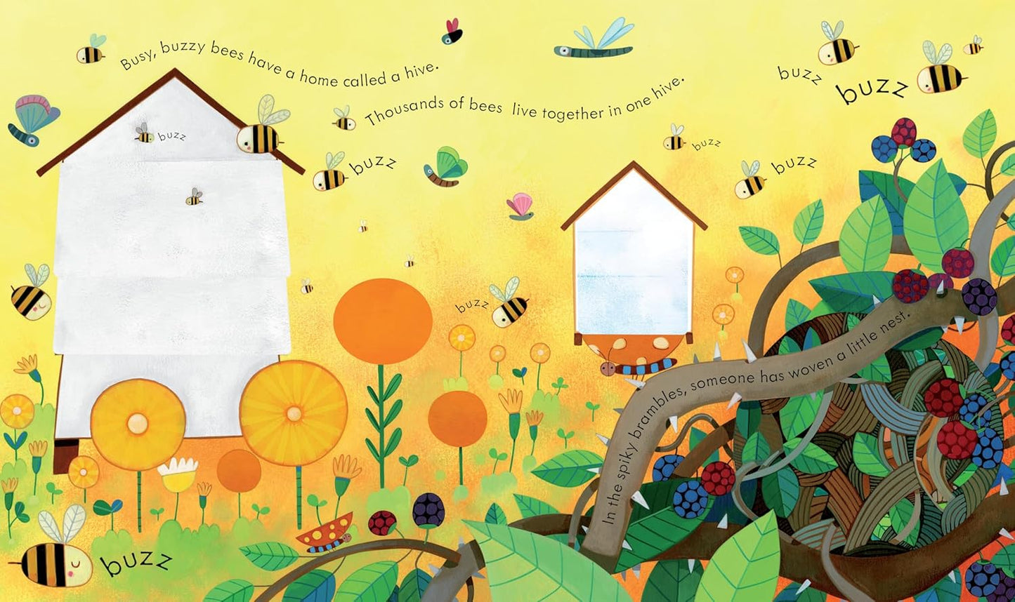 Peek Inside Animal Homes: A Lift-the-Flap Book