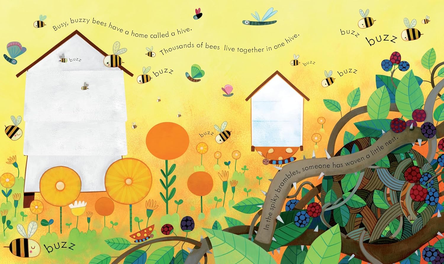 Peek Inside Animal Homes: A Lift-the-Flap Book