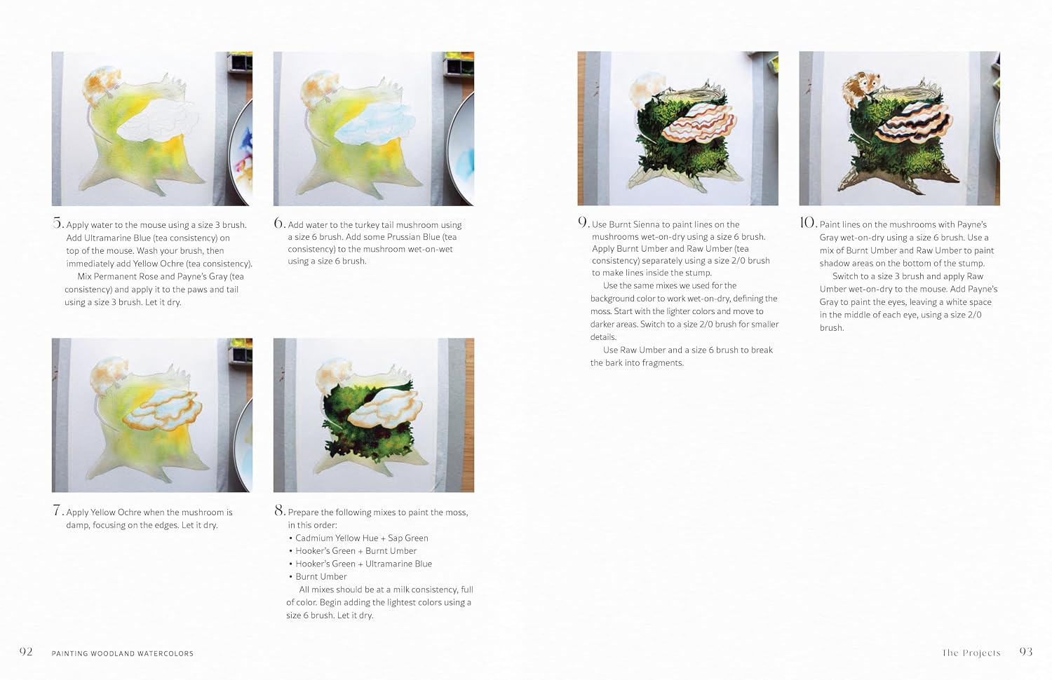 Painting Woodland Watercolors: Learn To Paint Beautiful Mushrooms, Animals, Insects, And Other Forest Wonders