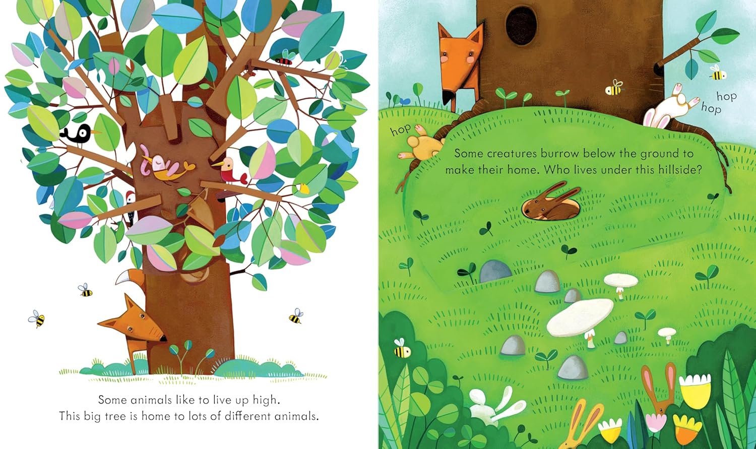 Peek Inside Animal Homes: A Lift-the-Flap Book