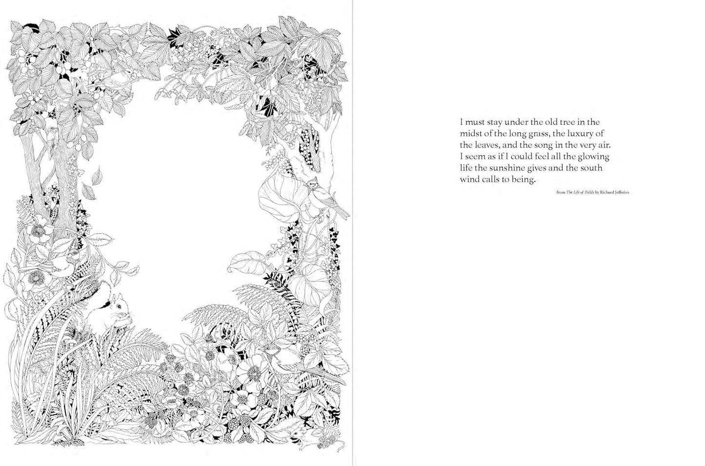 A Walk in the Woods: An Intricate Coloring Book