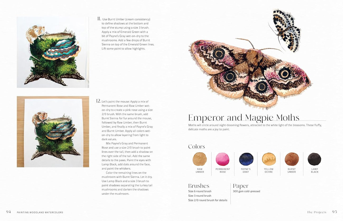 Painting Woodland Watercolors: Learn To Paint Beautiful Mushrooms, Animals, Insects, And Other Forest Wonders