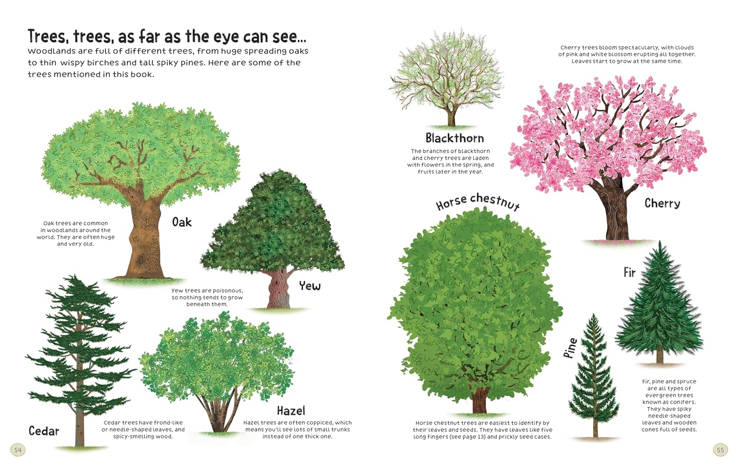 Woodland Book