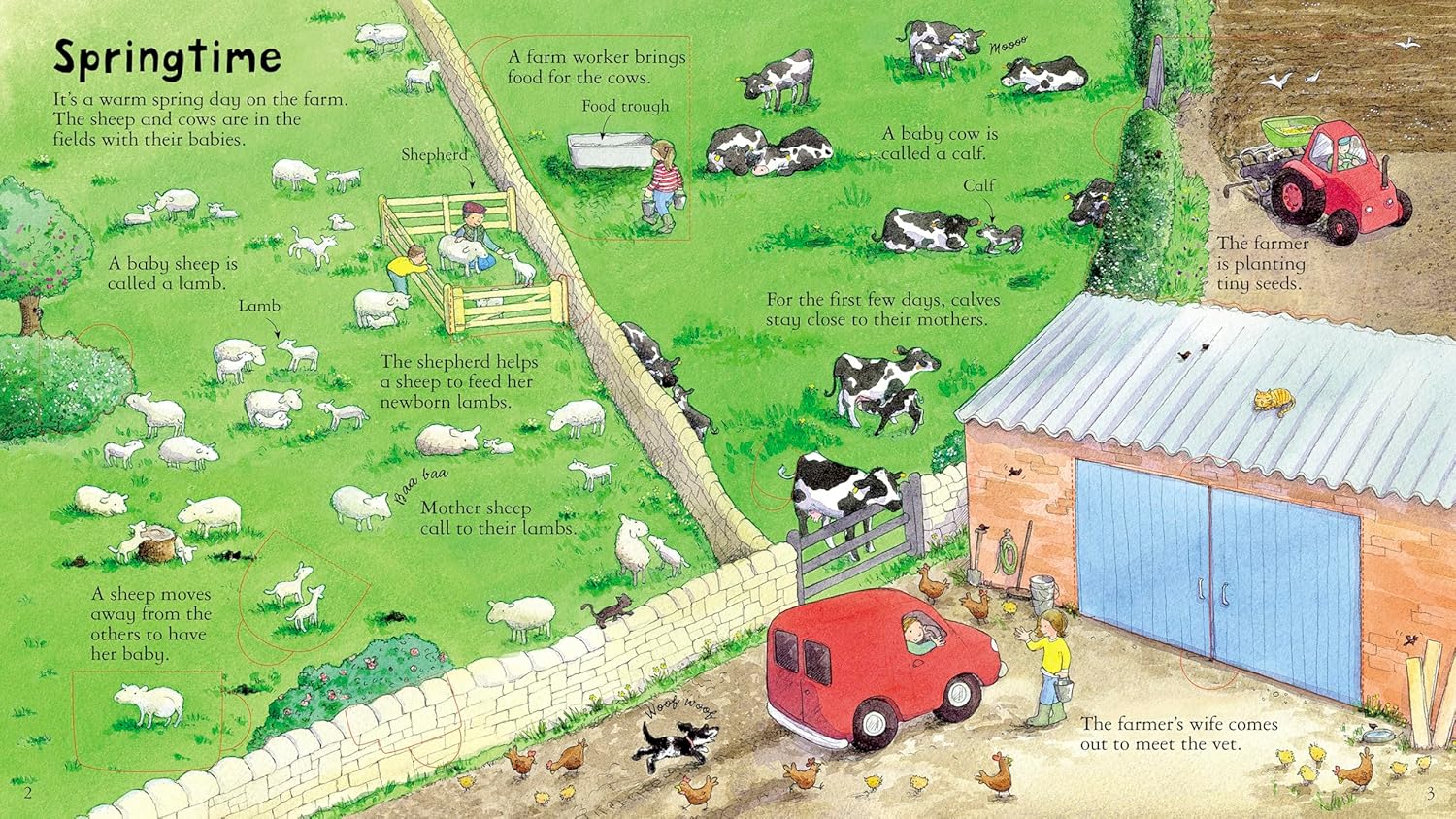 The Little Red Hen: A Charming Board Book Retelling of the Classic Tale About Teamwork Between a Determined Hen and Her Farmyard Friends