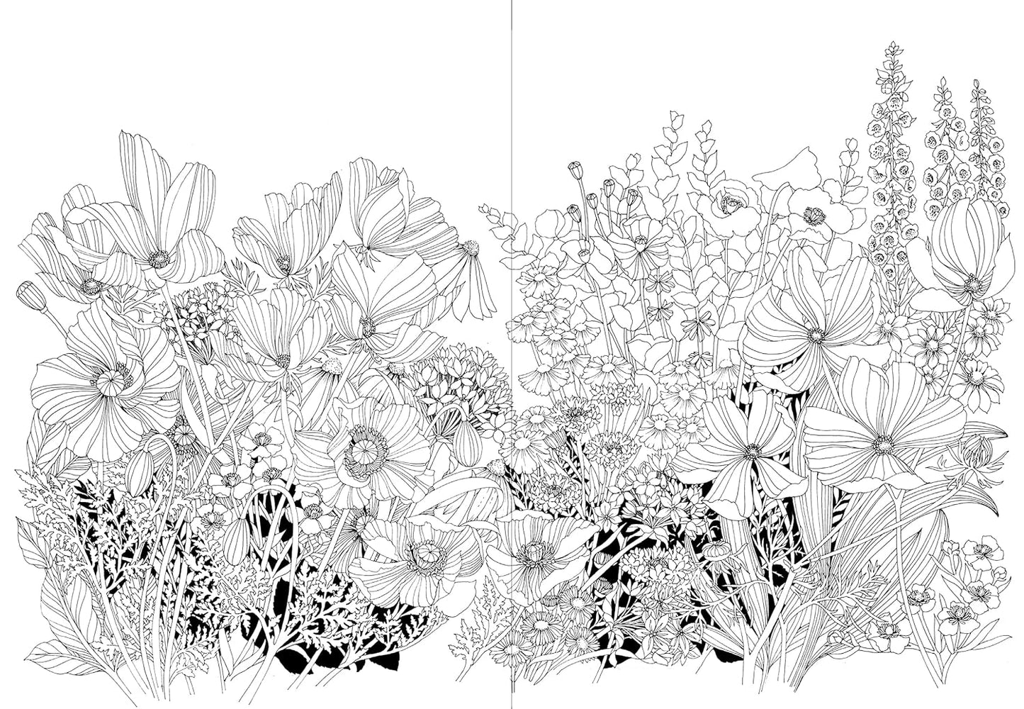 Leila Duly’s Beautiful Planet: An Intricate Coloring Book