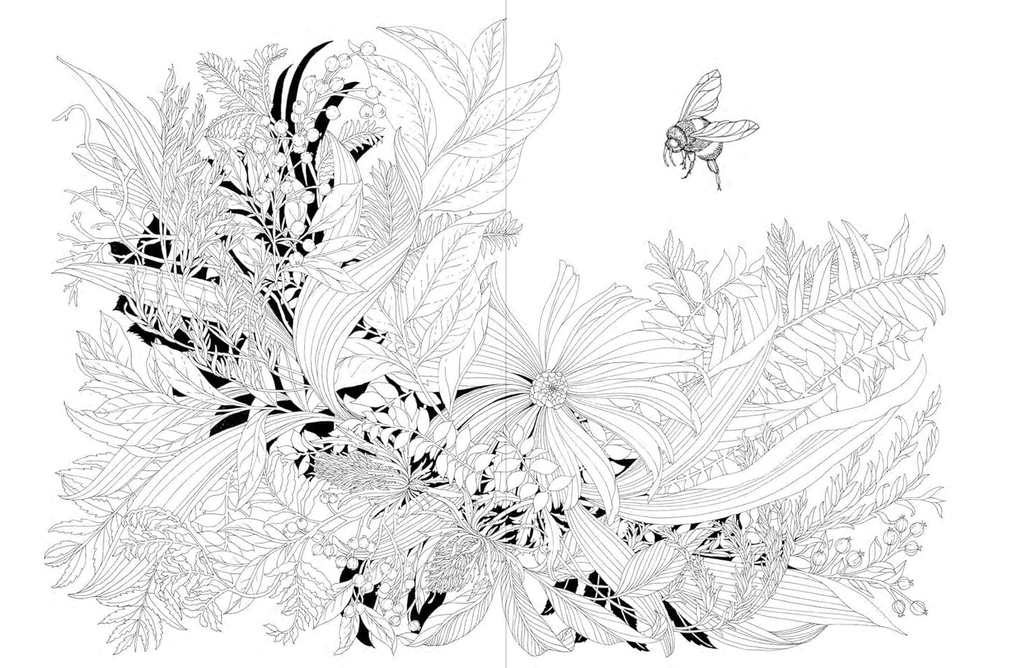 A Walk in the Woods: An Intricate Coloring Book