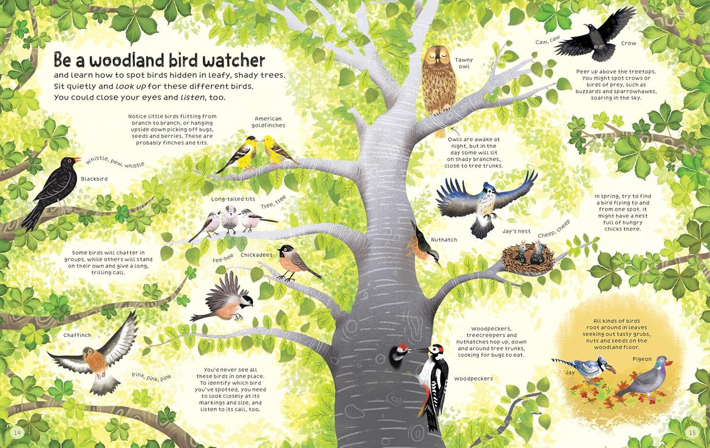 Woodland Book