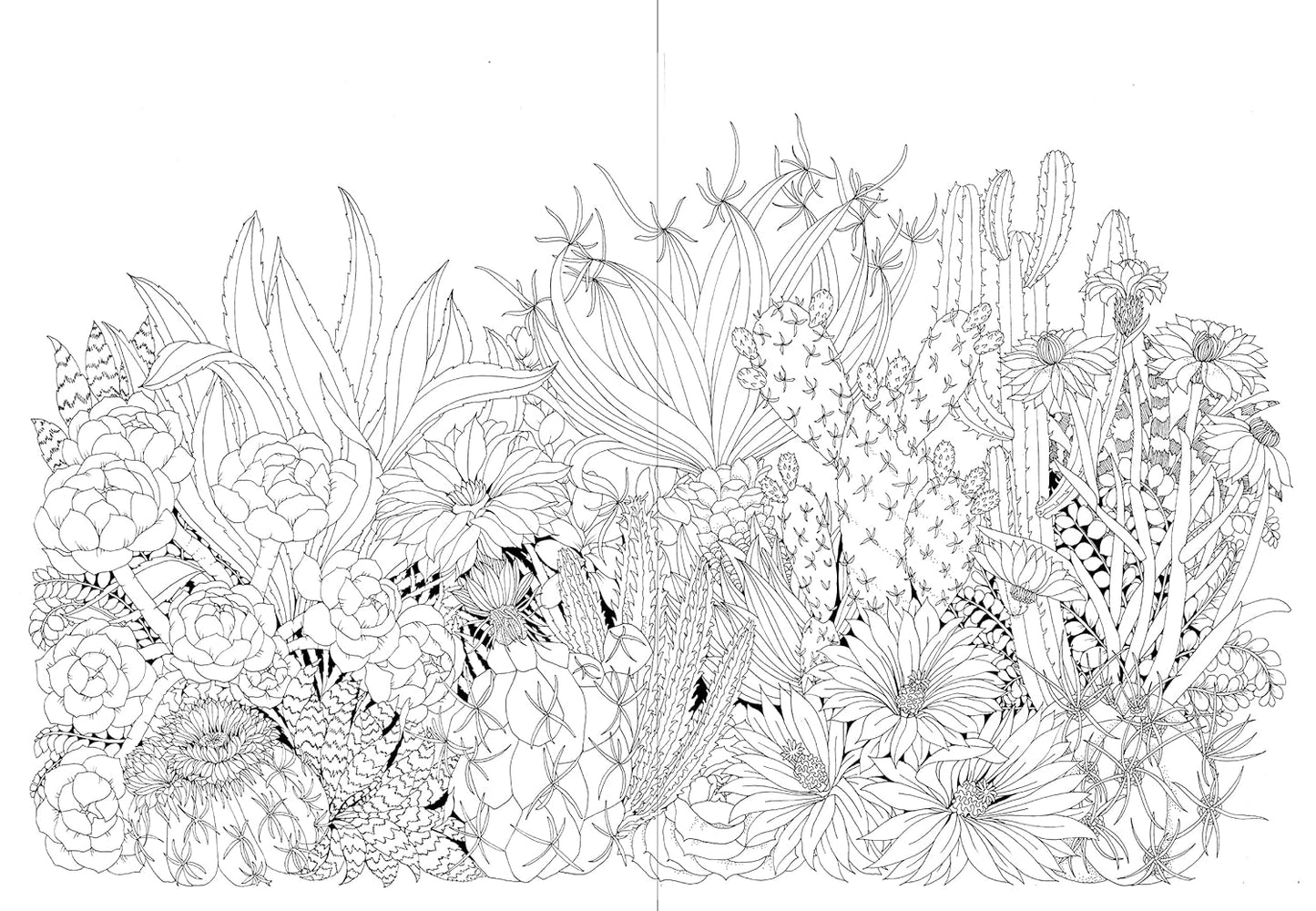 Leila Duly’s Beautiful Planet: An Intricate Coloring Book