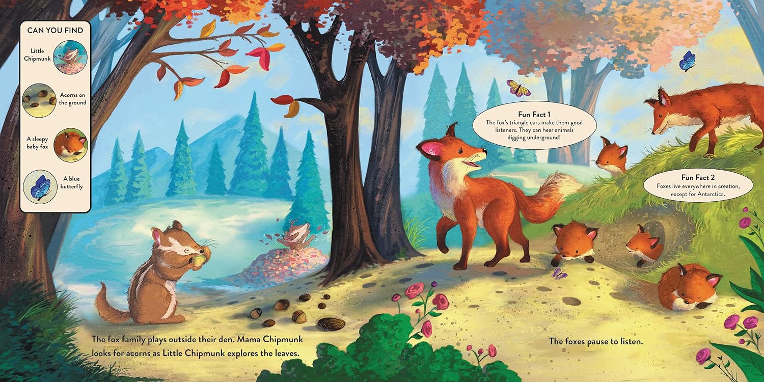 Let’s Learn About the Forest: A Seek-and-Find Story Through God’s Creation