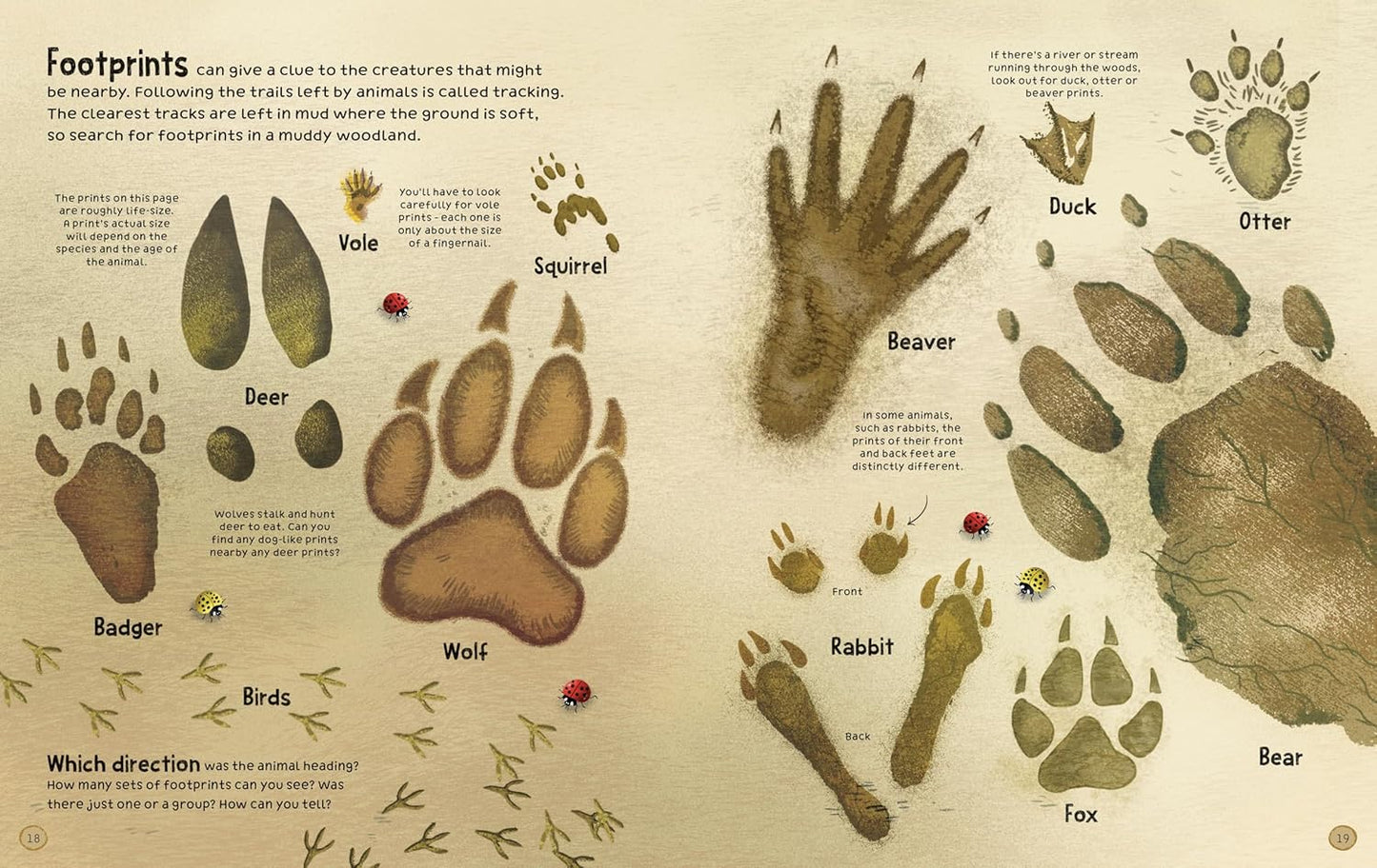 Woodland Book