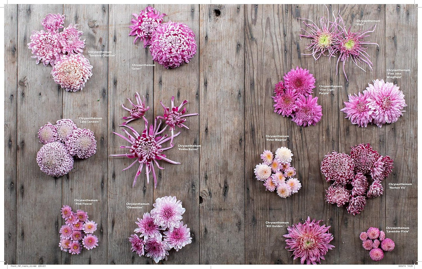 Floret Farm's A Year in Flowers: Designing Gorgeous Arrangements for Every Season
