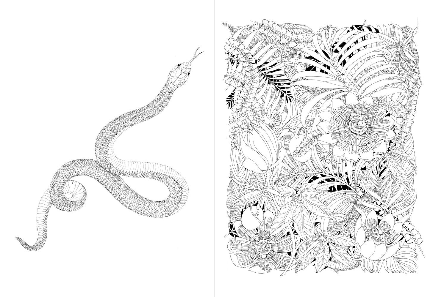 Leila Duly’s Beautiful Planet: An Intricate Coloring Book