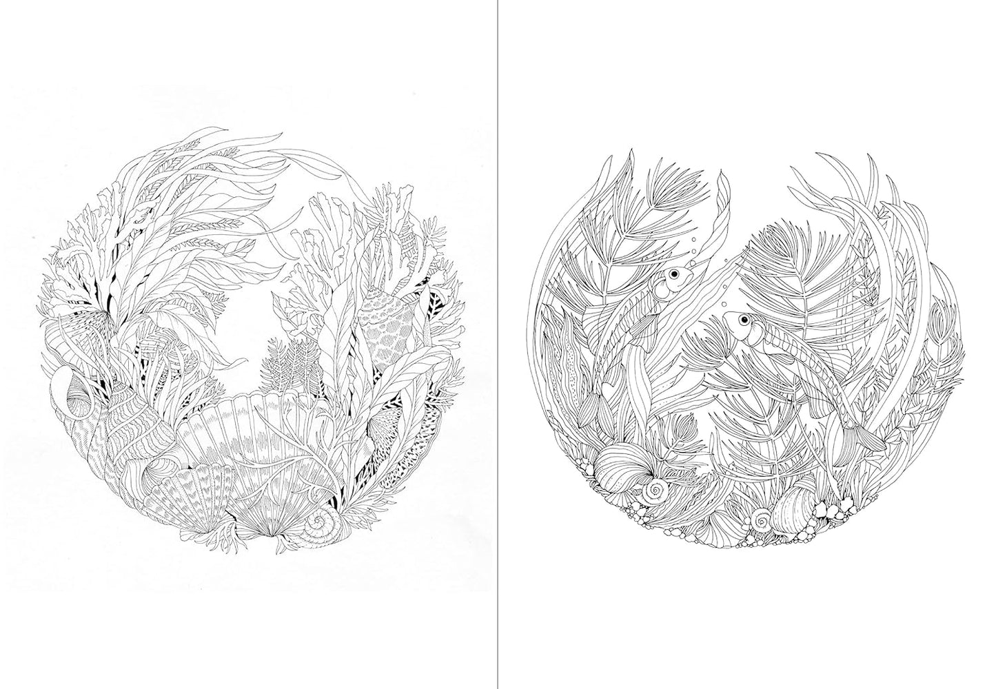 Leila Duly’s Beautiful Planet: An Intricate Coloring Book