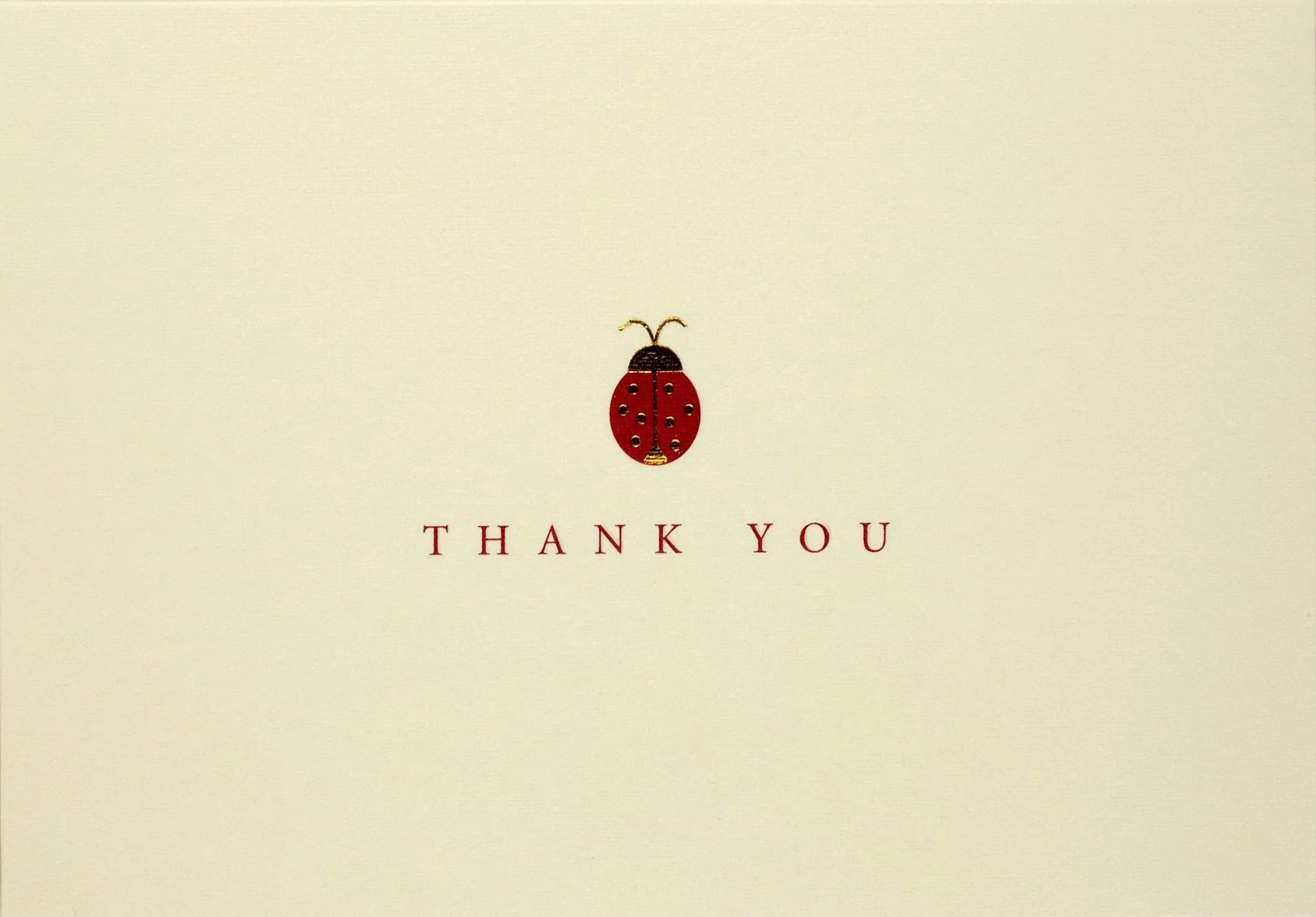 Ladybug Thank You Notes