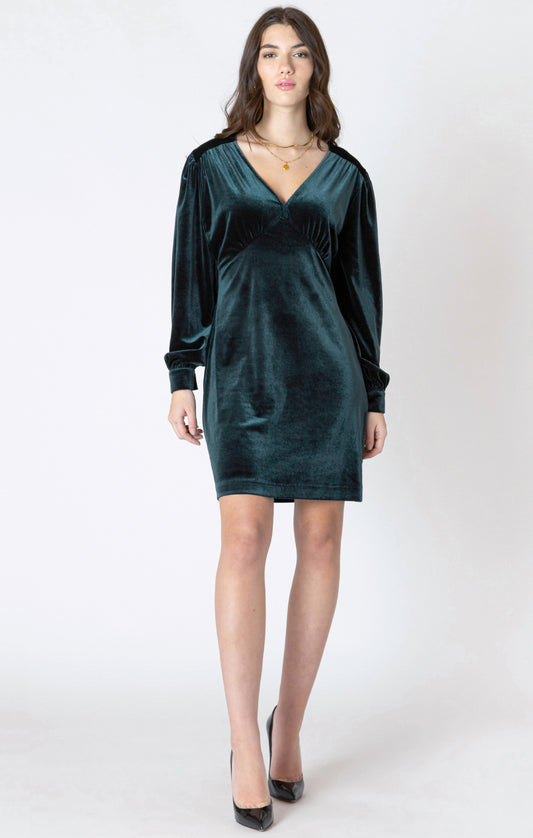Dex V-Neck Velvet Mini Dress