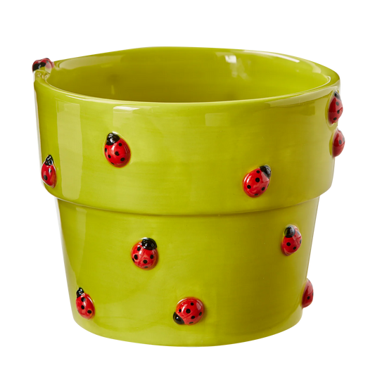 Garden Ladybug Planter