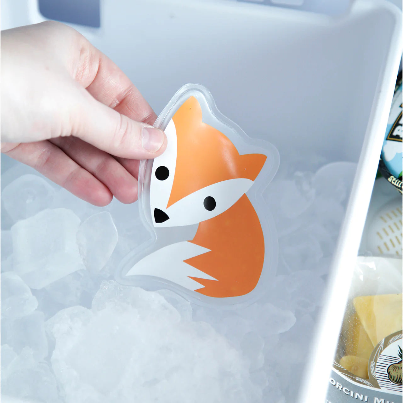 Hot Cold Pack + Fox