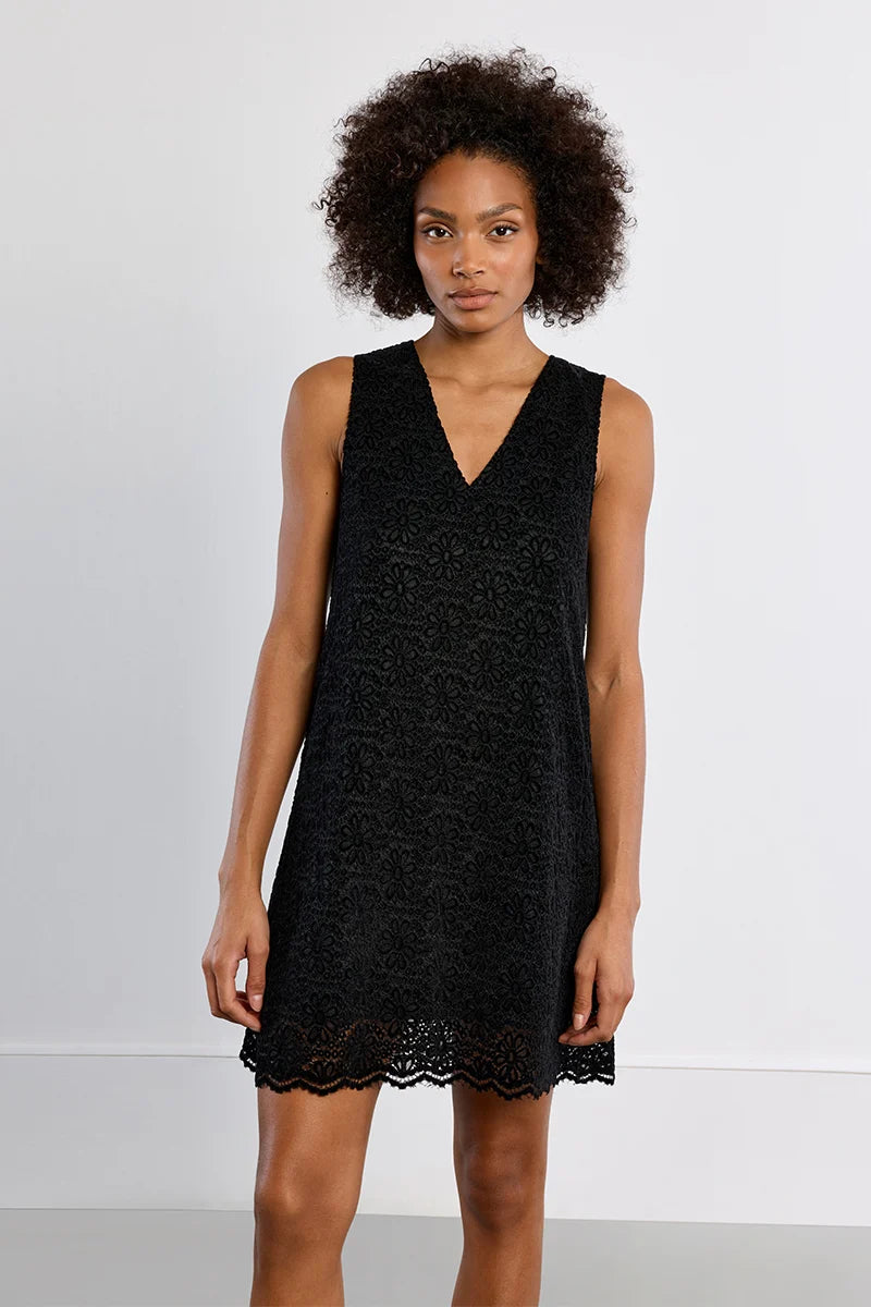 Molly Bracken Embroidered Velvet Mini Dress