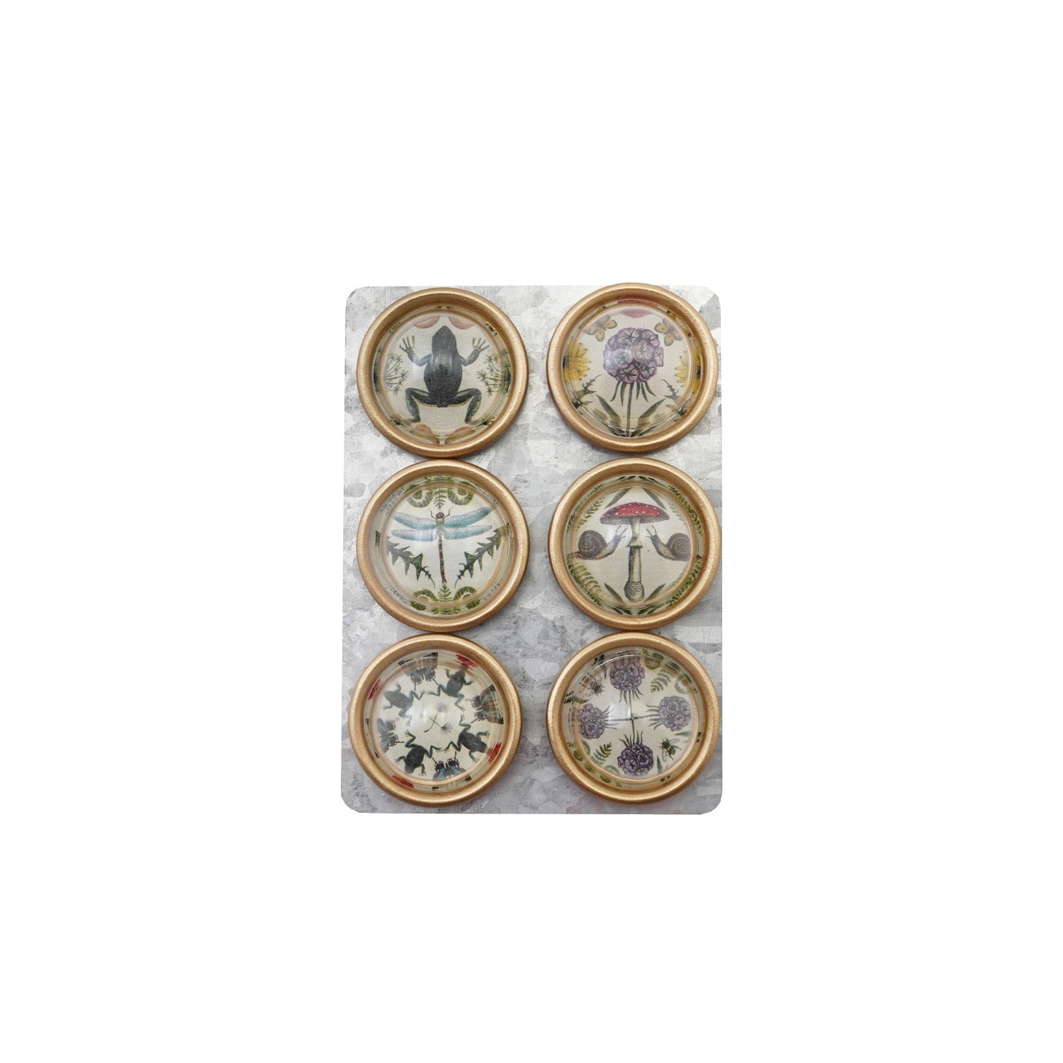 Resin Convex Magnets