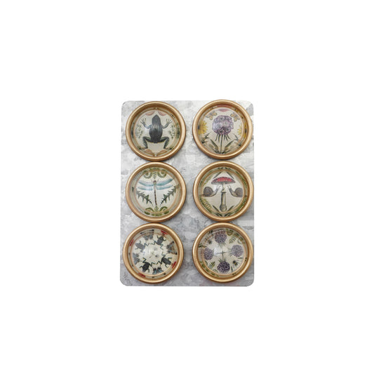 Resin Convex Magnets