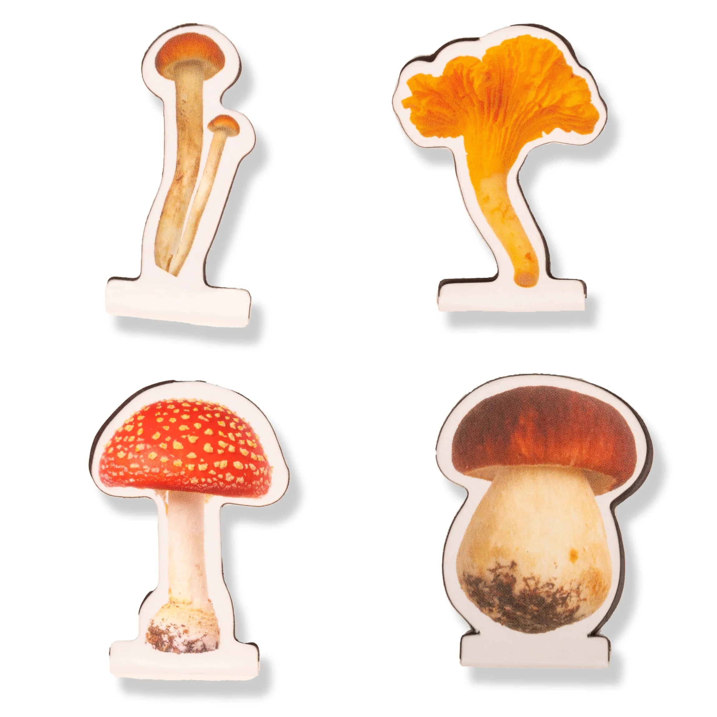 Mushroom Magnetic Bookmarks – Emma Downtown