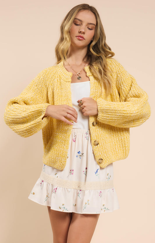 Sadie & Sage Sunroof Half Button Cardigan