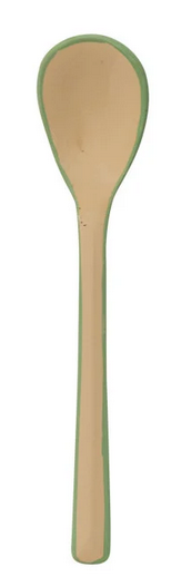 Enameled Stainless Steel Salt Spoon with Colored Edge